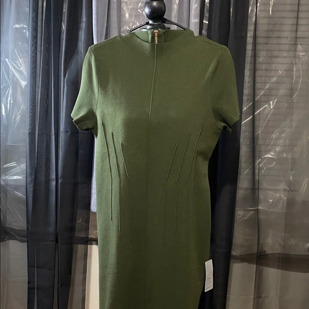 Eliza J Olive Green Midi Dress
